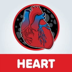 Episode Cover Art