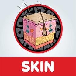 Episode Cover Art
